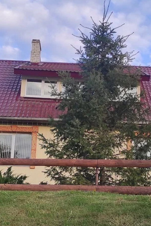 Популярные направления