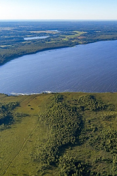 Популярные направления