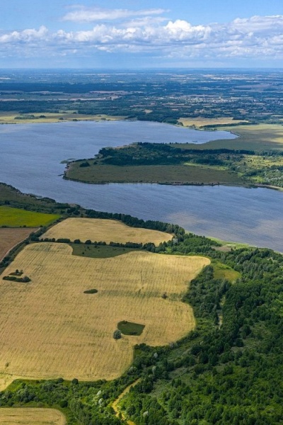 Популярные направления