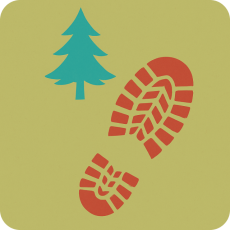 Охотничий туризм