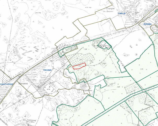 «Парк здоровья» на базе Дендросада Глубокского опытного лесхоза